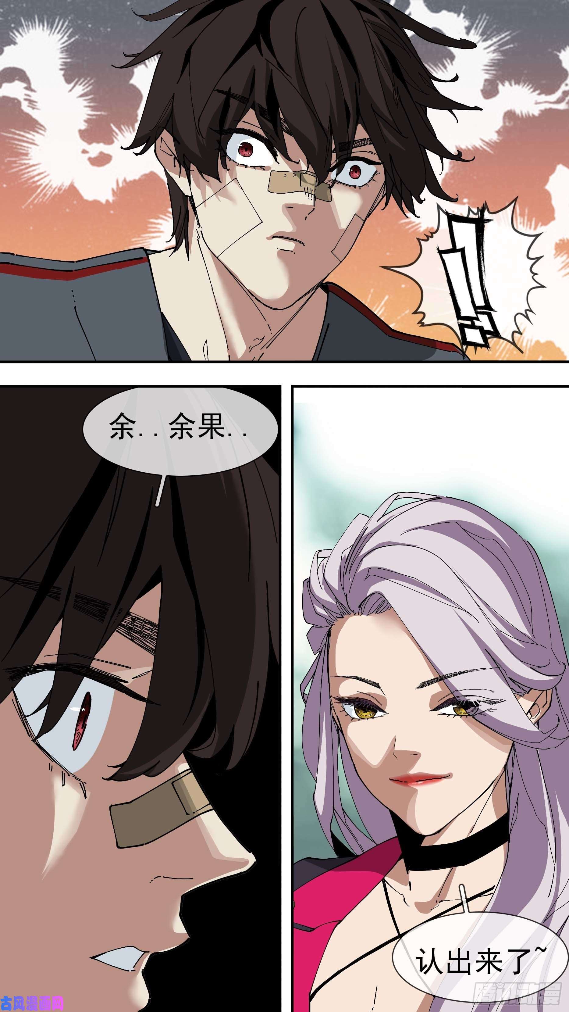 乌鸦【银】04