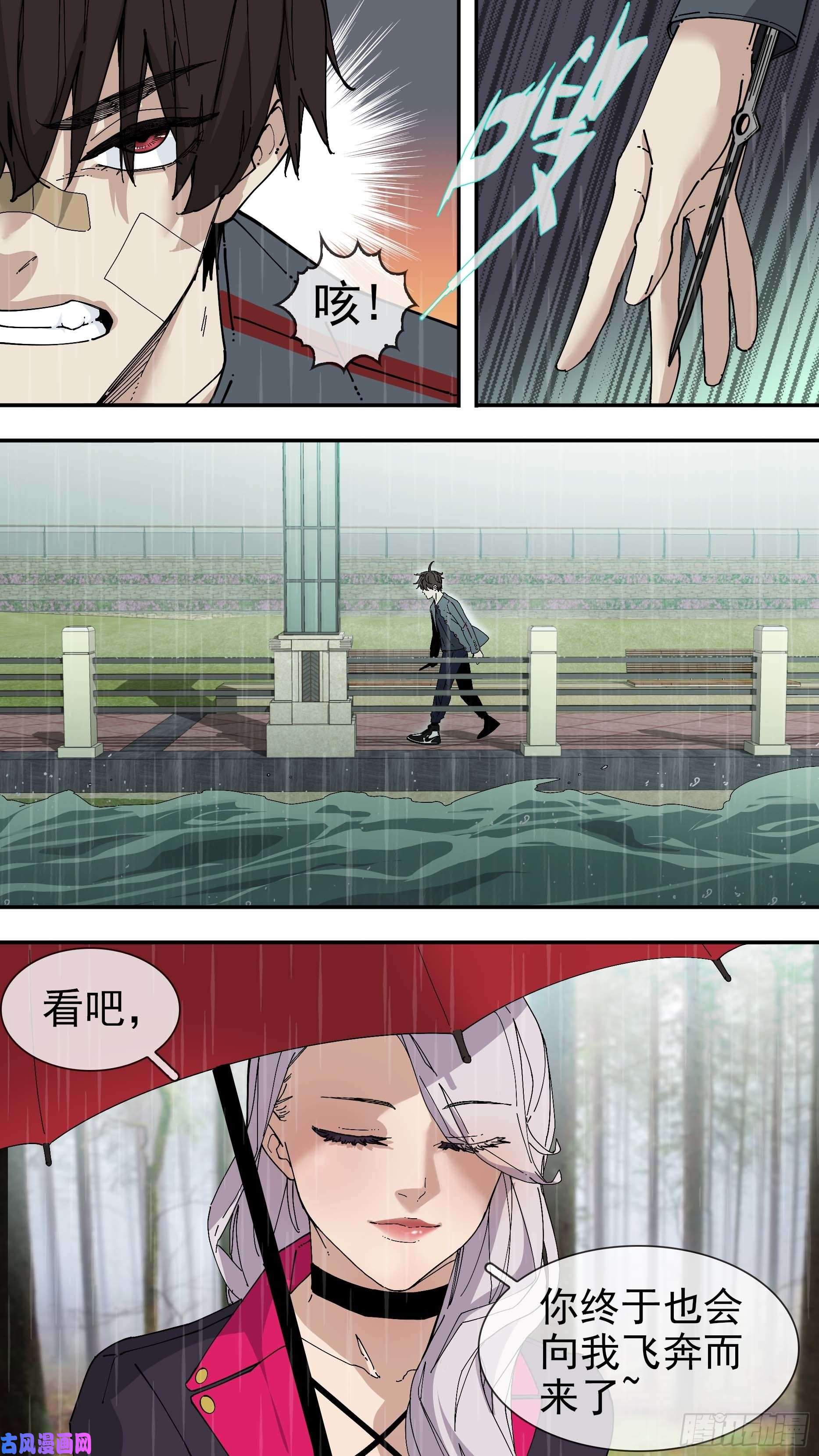 乌鸦【银】04