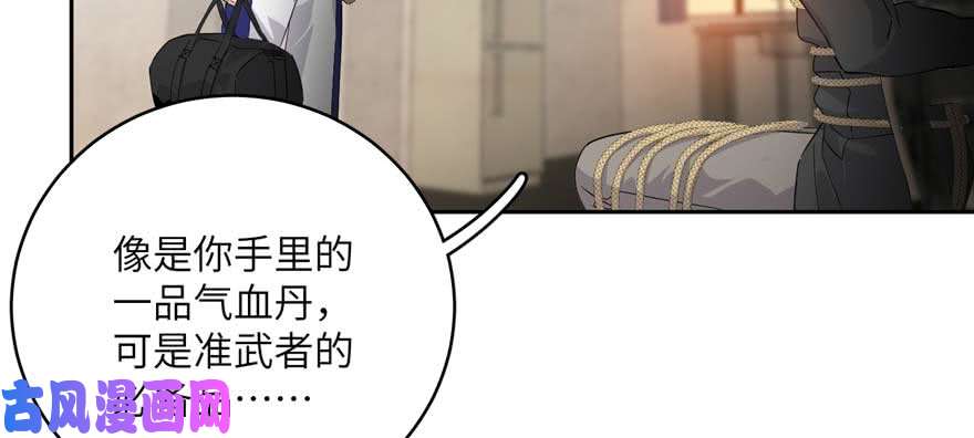 全球高武009 两全其美的办法