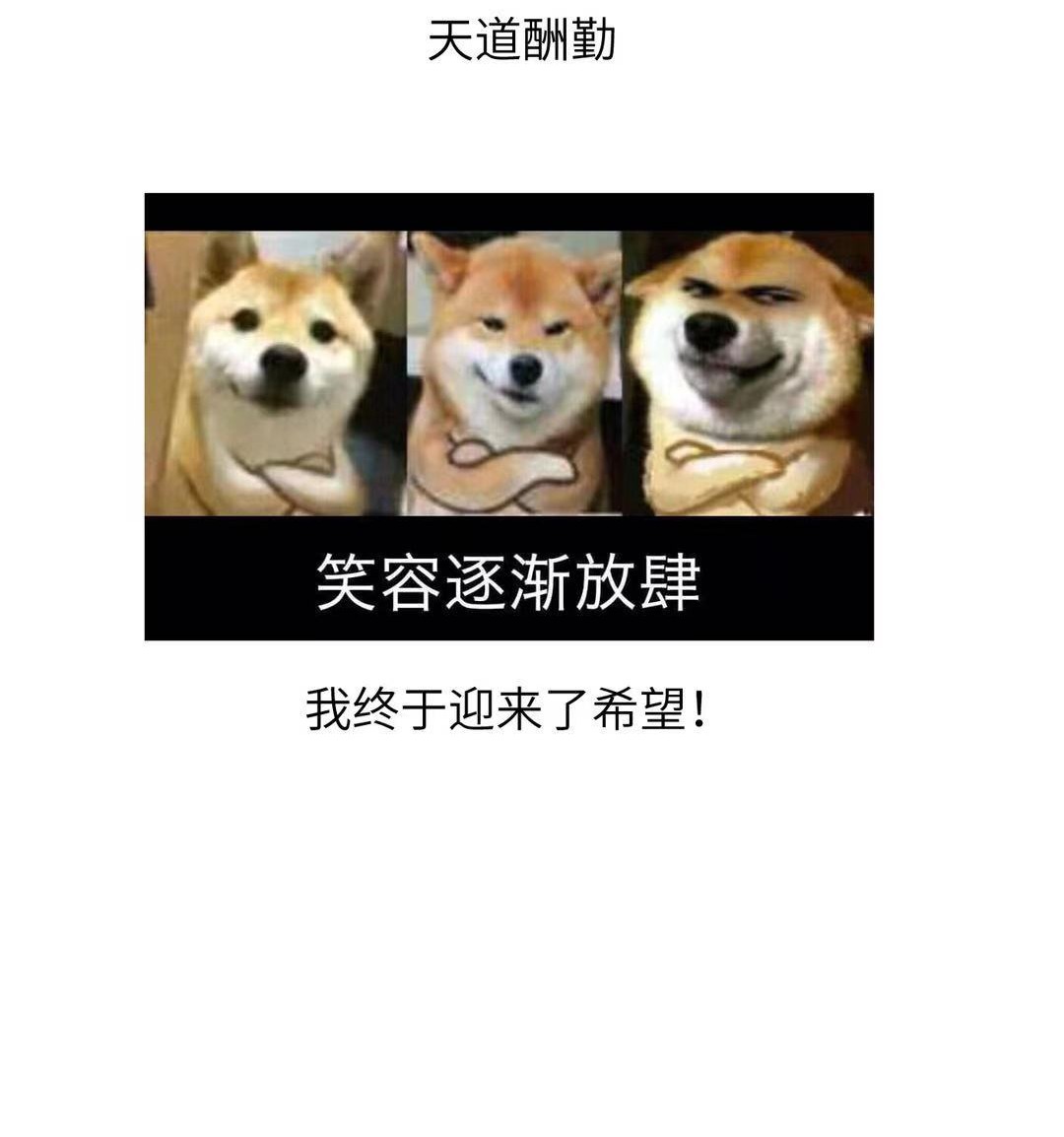 全球高武公 告