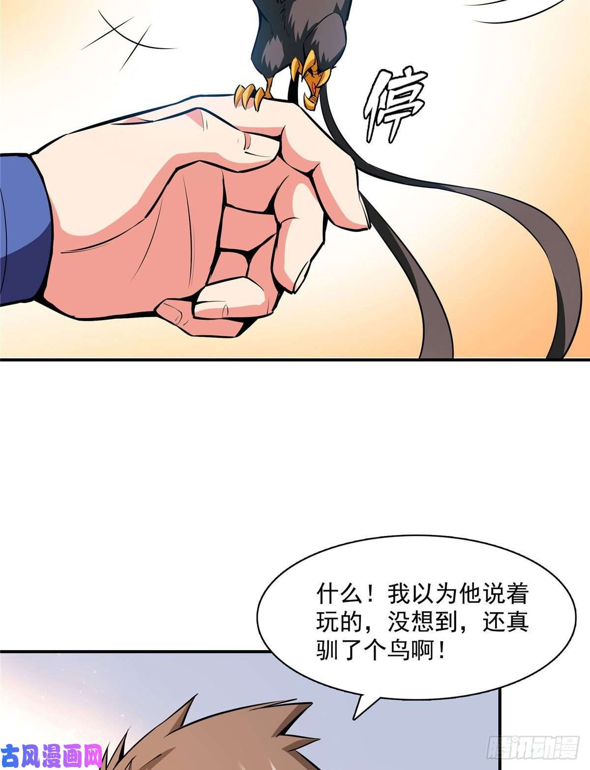 天道图书馆141 我驯了个鸟