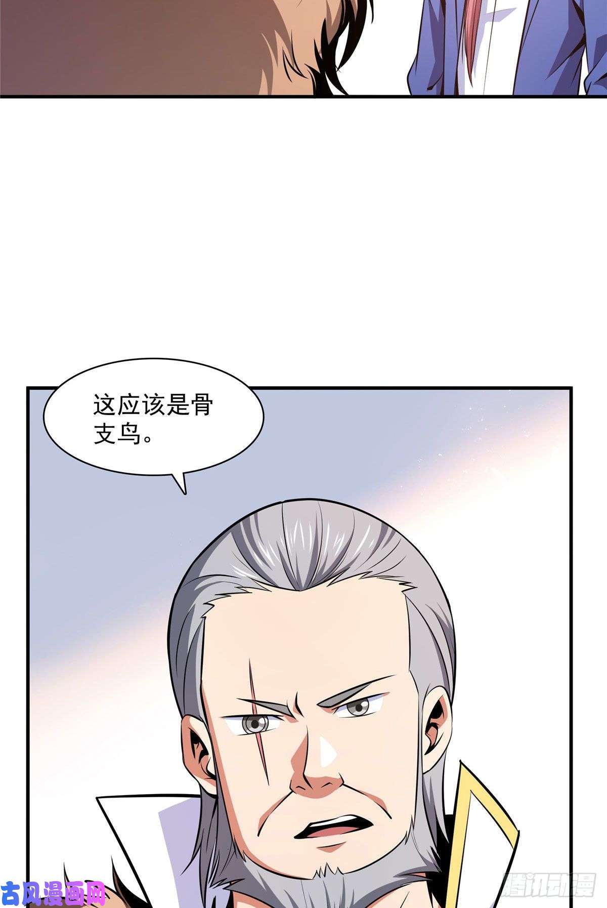 天道图书馆142 云电古雀