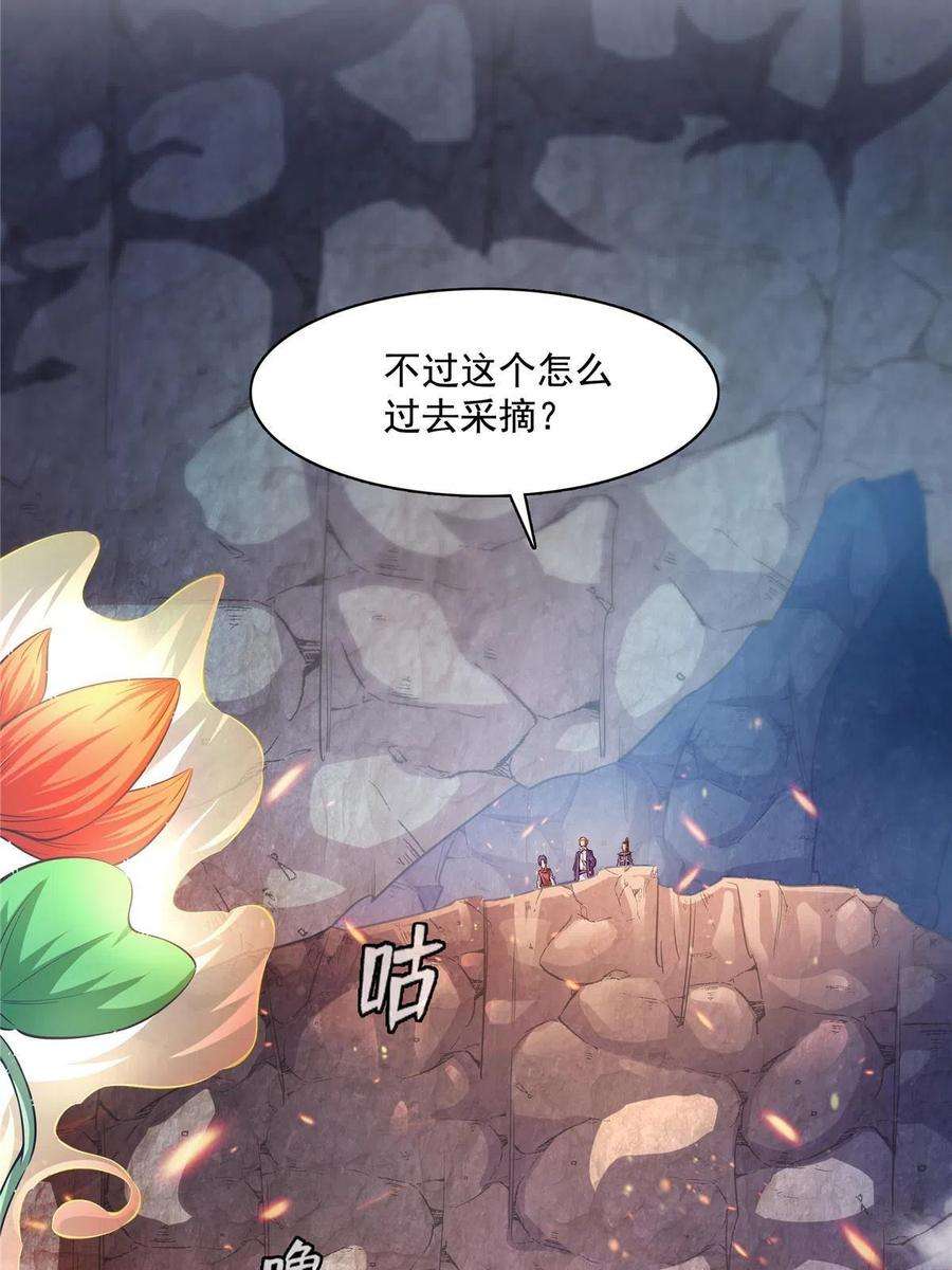 天道图书馆157话 赤焰莲子