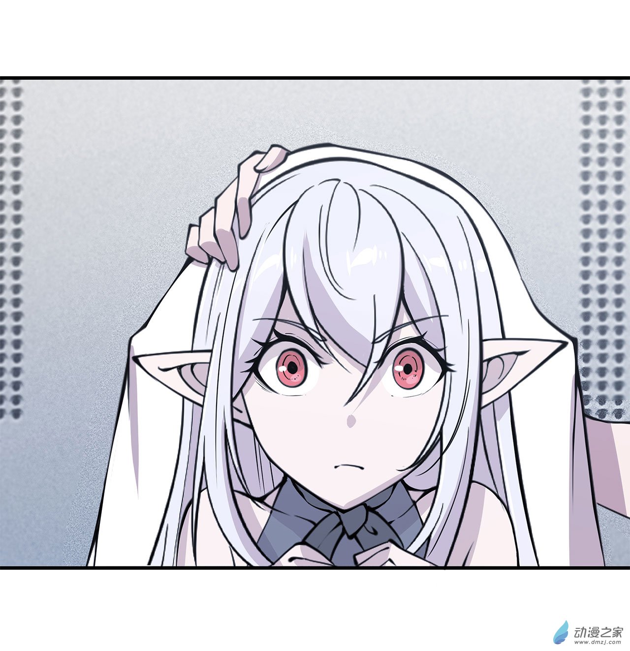 血姬与骑士第45话