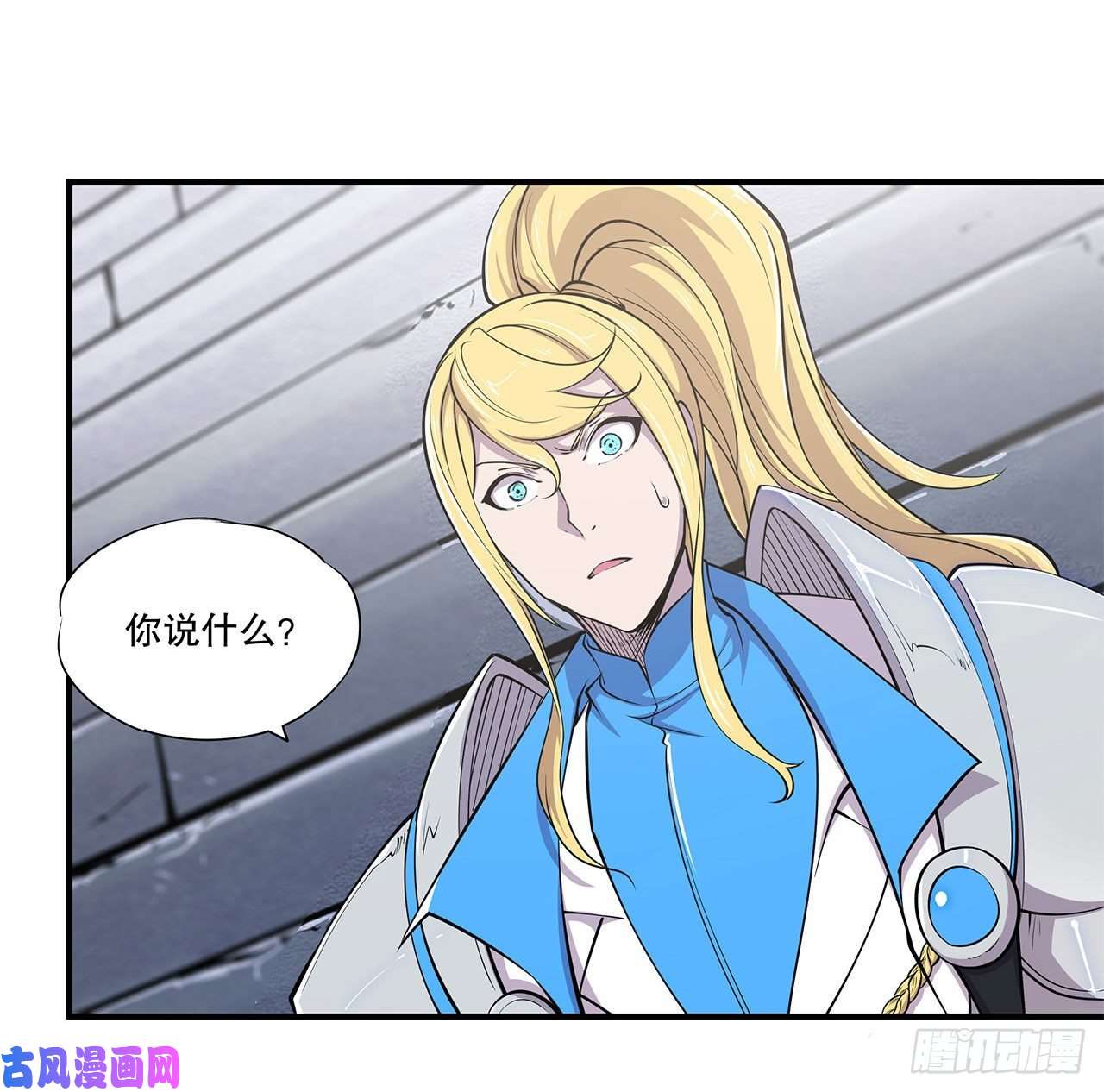 血姬与骑士判决