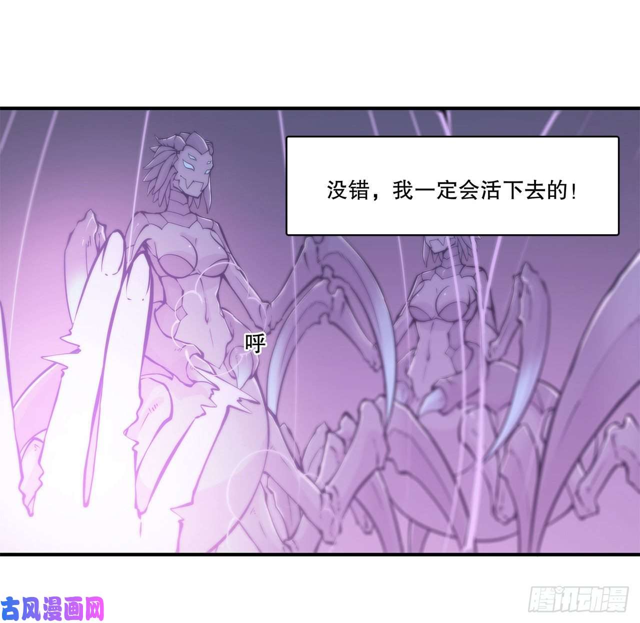 血姬与骑士第72话 白姬登场