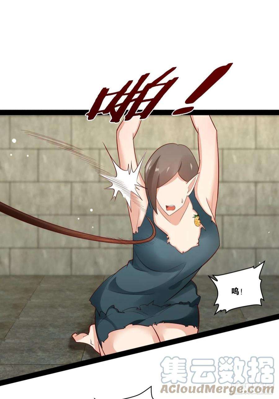 开局点满魅力值44.旺斯家族