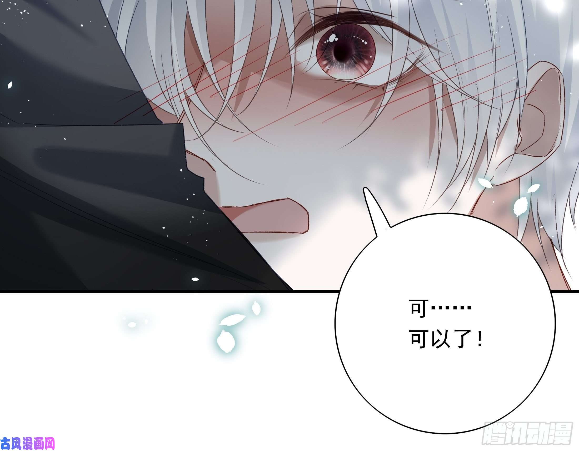 温柔又狂暴的他们013