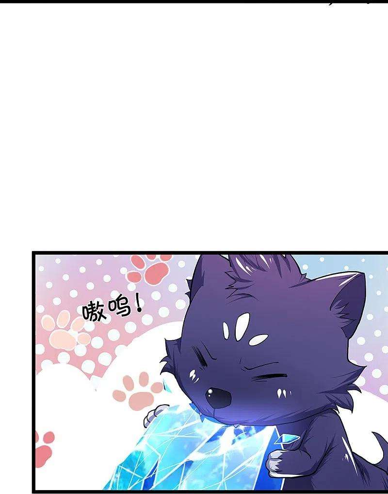 神武天尊361话 白家人的味道