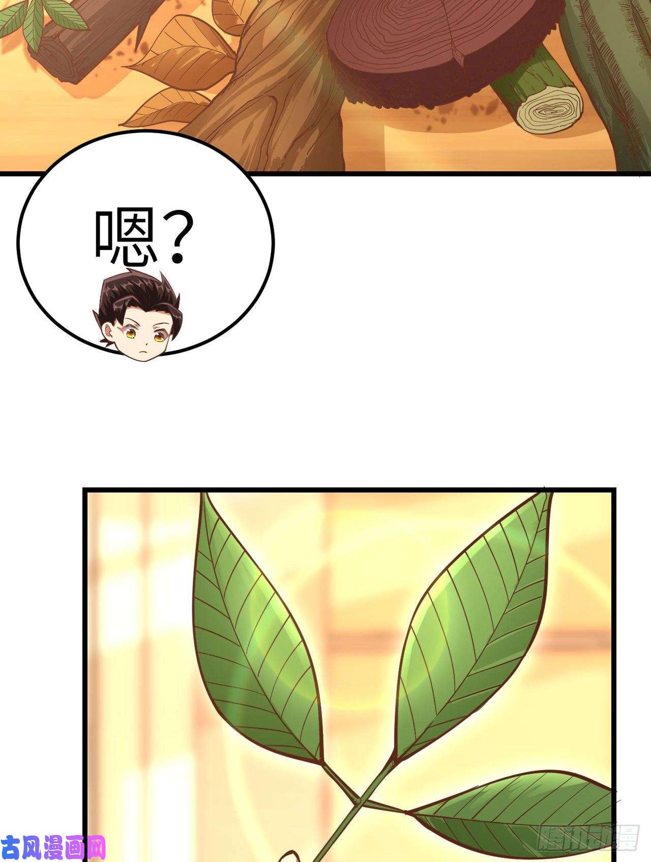 从今天开始当城主217 宝藏之地