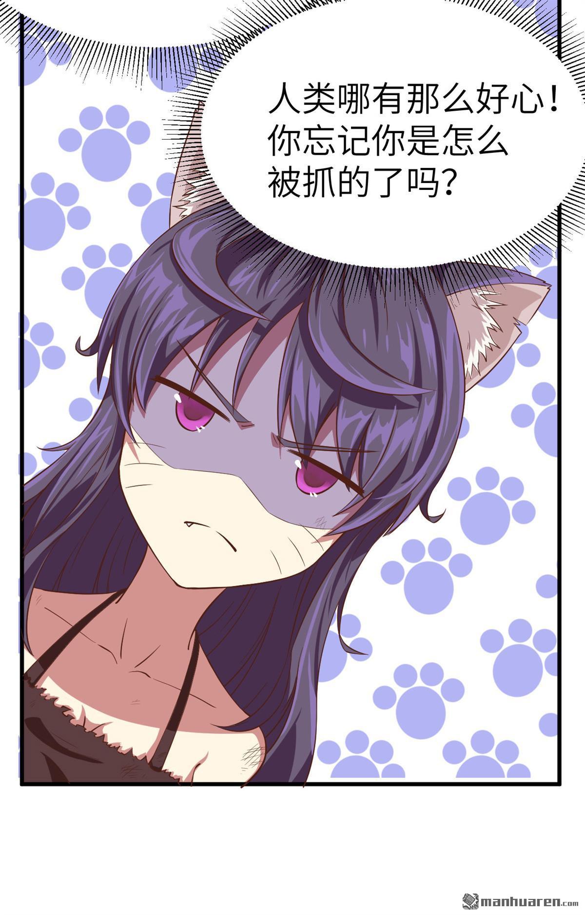 从今天开始当城主第4话 捡到一只猫耳娘