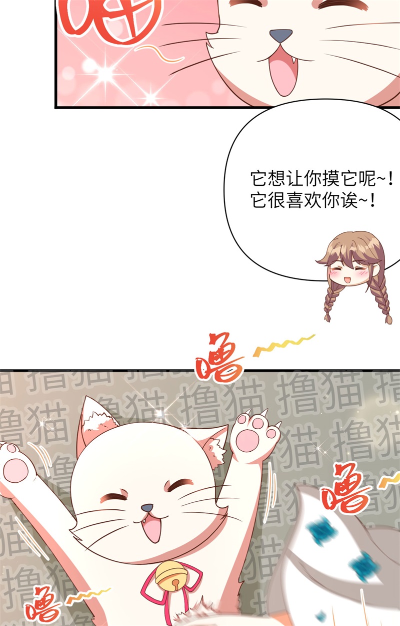 从今天开始当城主353 吸猫一时爽