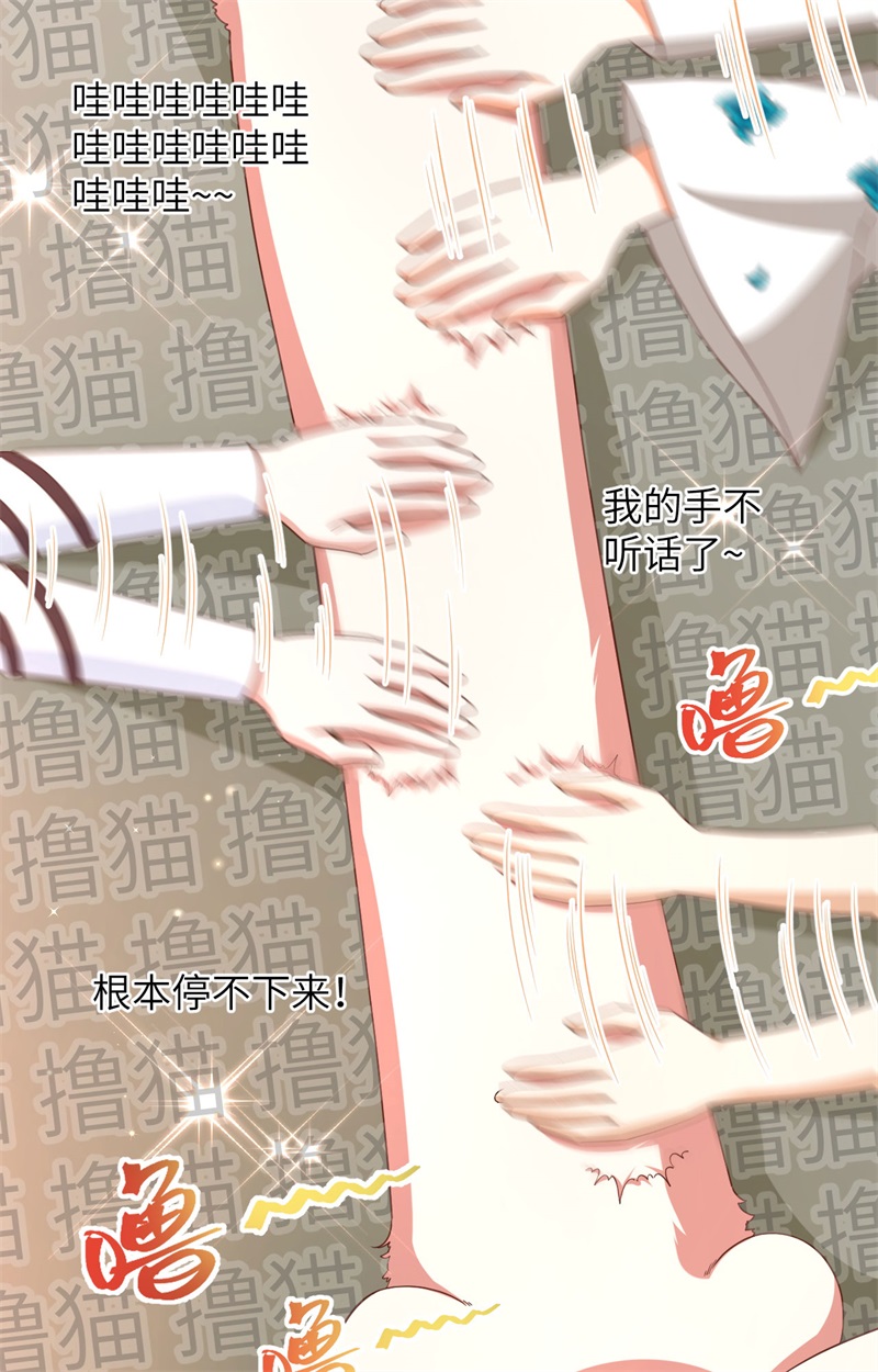 从今天开始当城主353 吸猫一时爽