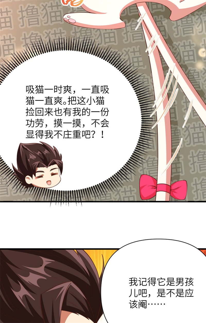 从今天开始当城主353 吸猫一时爽