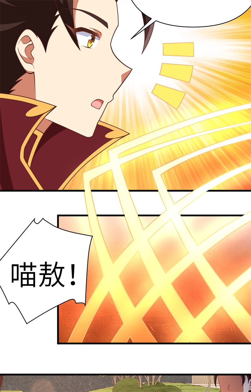 从今天开始当城主353 吸猫一时爽