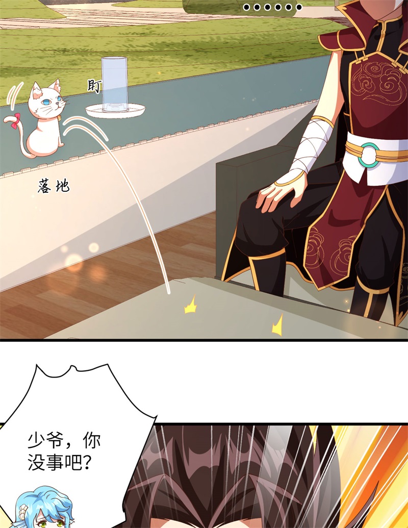 从今天开始当城主353 吸猫一时爽