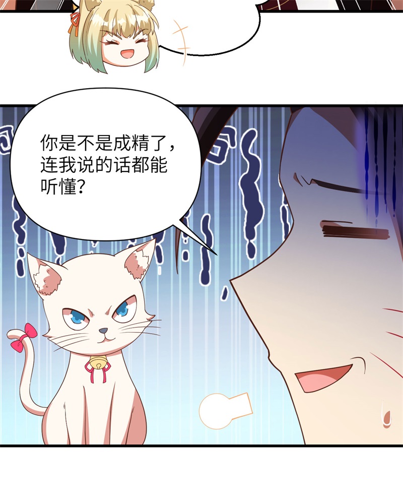 从今天开始当城主353 吸猫一时爽
