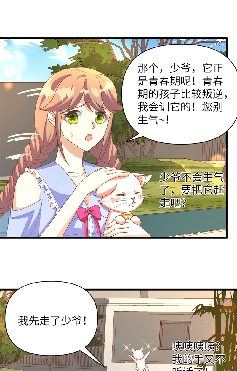 从今天开始当城主353 吸猫一时爽