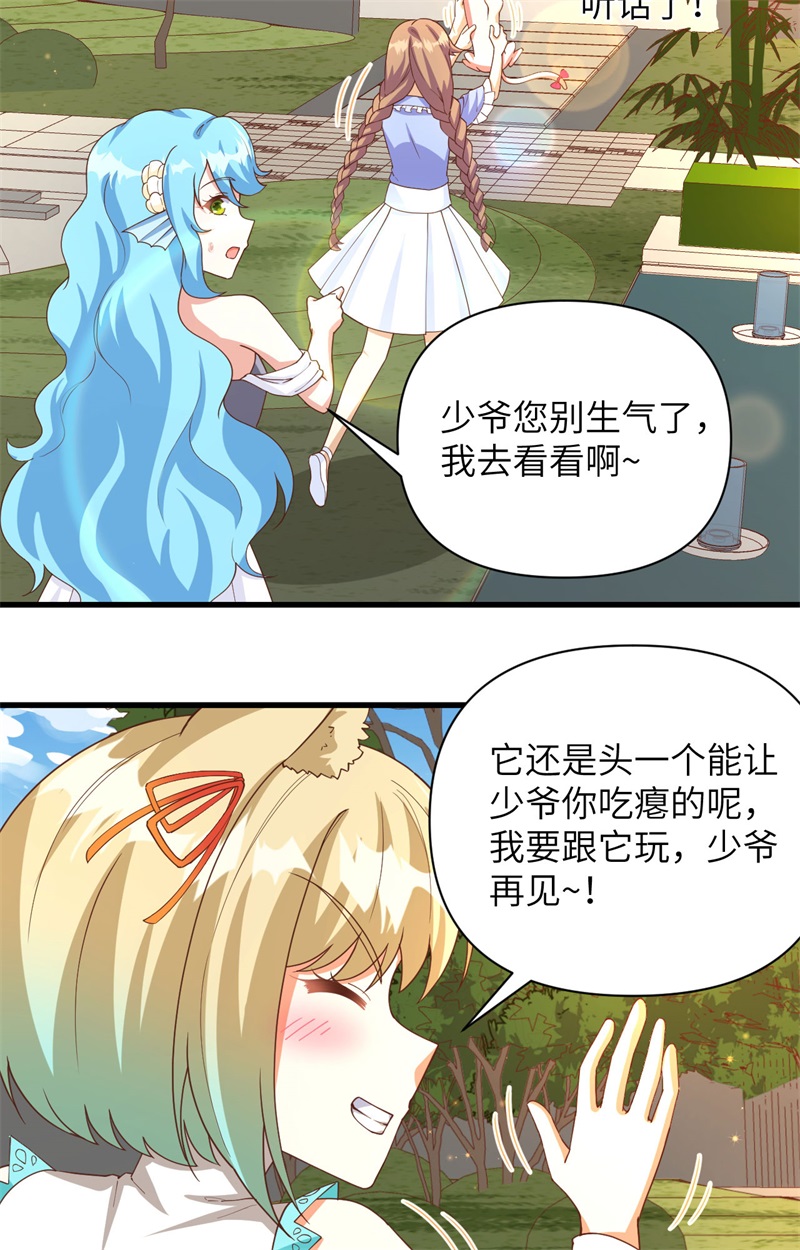 从今天开始当城主353 吸猫一时爽