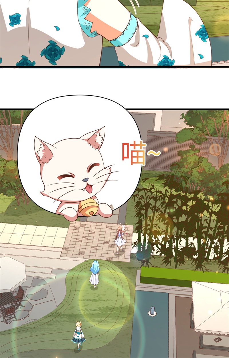 从今天开始当城主353 吸猫一时爽