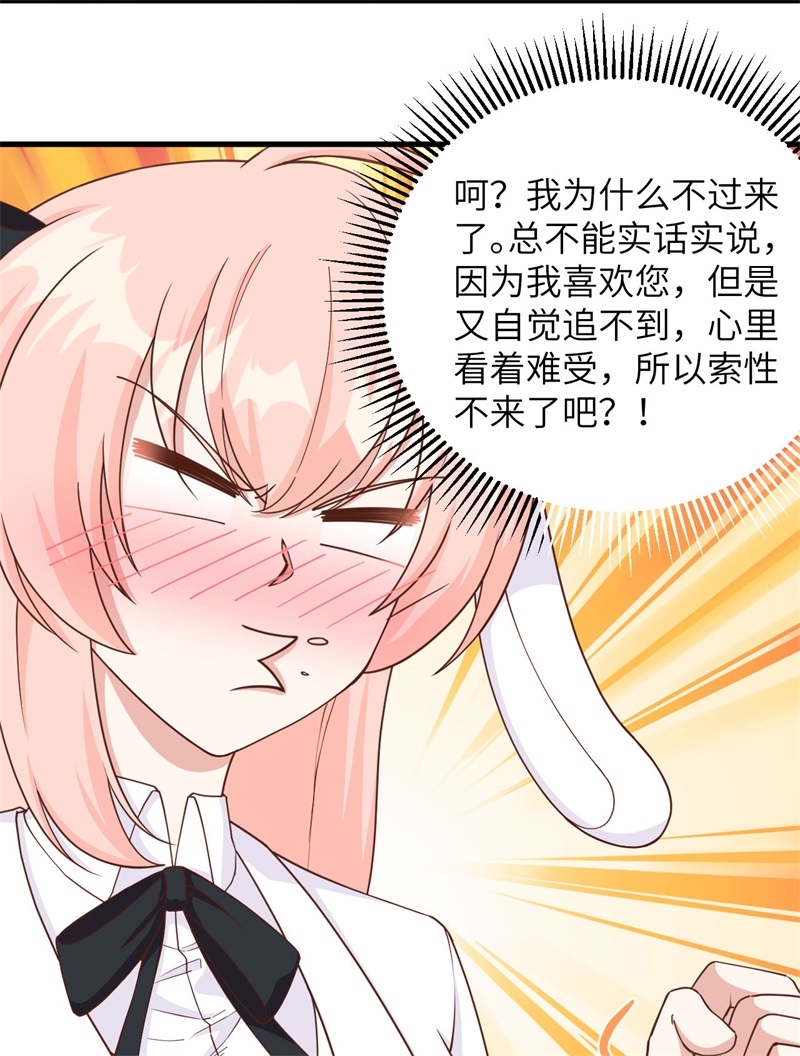 从今天开始当城主353 吸猫一时爽
