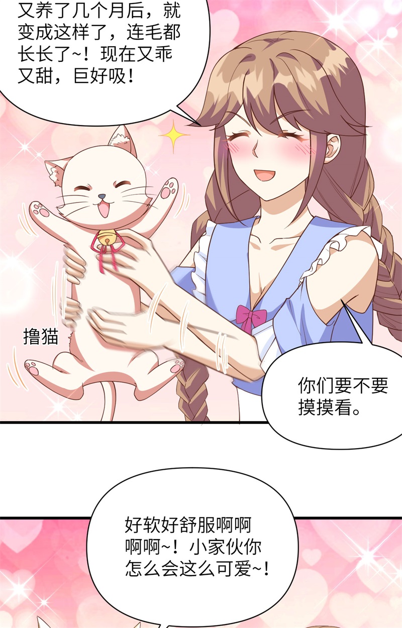从今天开始当城主353 吸猫一时爽
