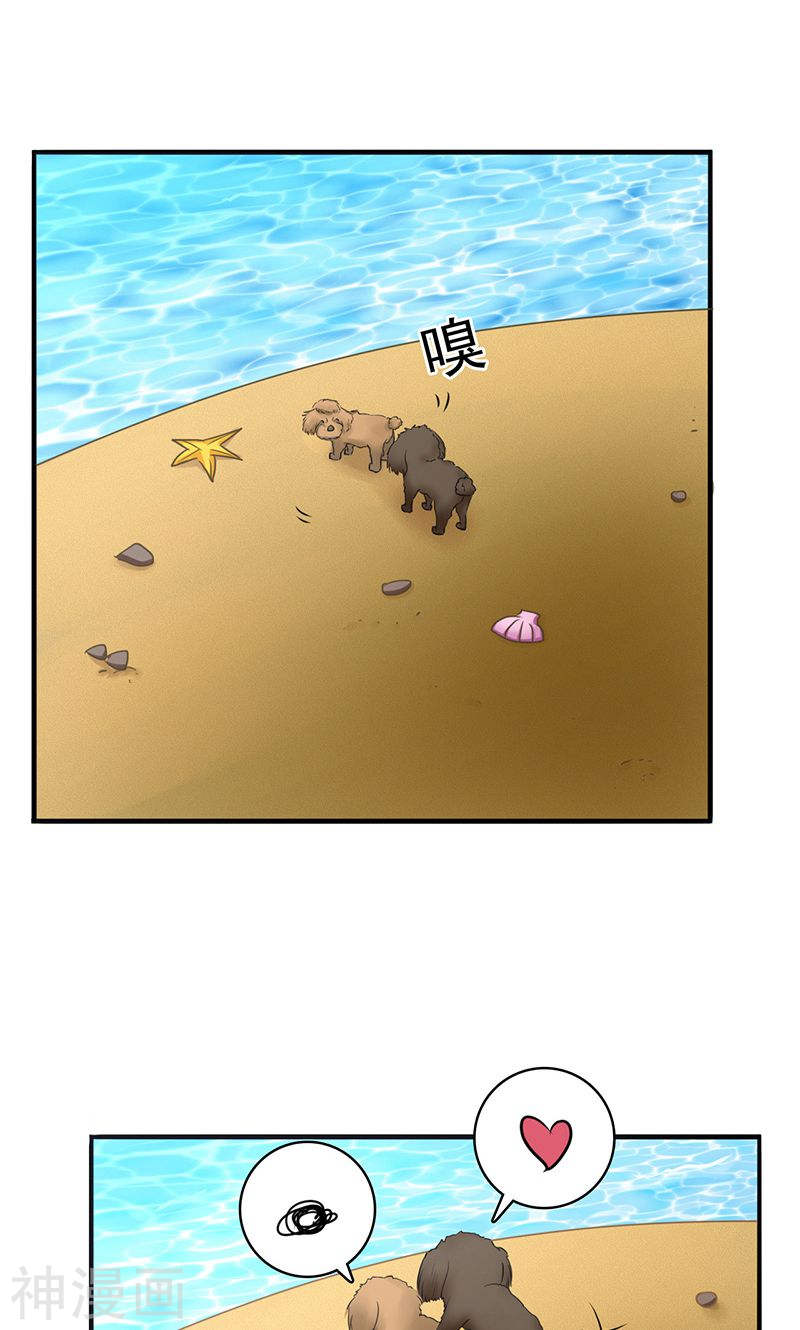 地府我开的第146话 蝎尾针与秘密计划(51P)