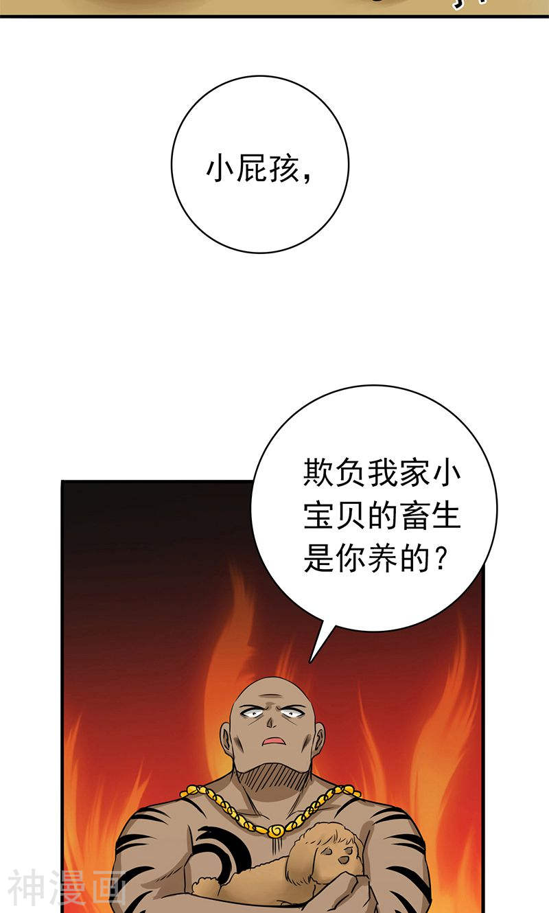 地府我开的第146话 蝎尾针与秘密计划(51P)