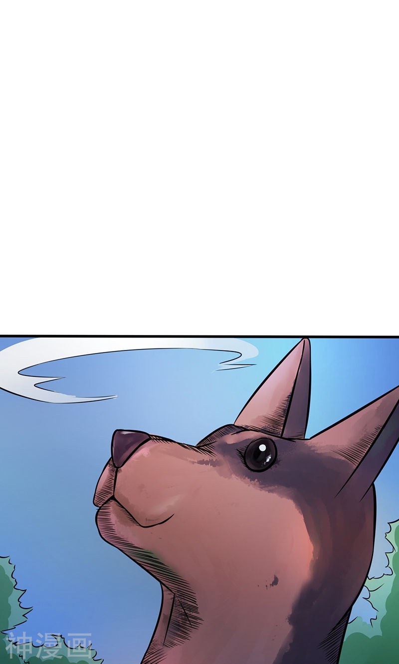 地府我开的第56话 离去47P