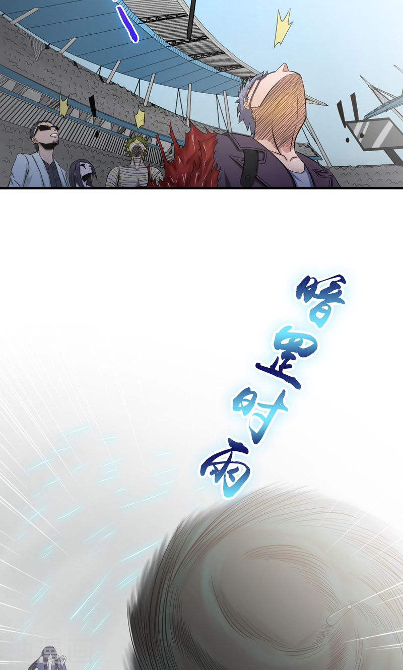 地府我开的第128话 不死鸟！48P