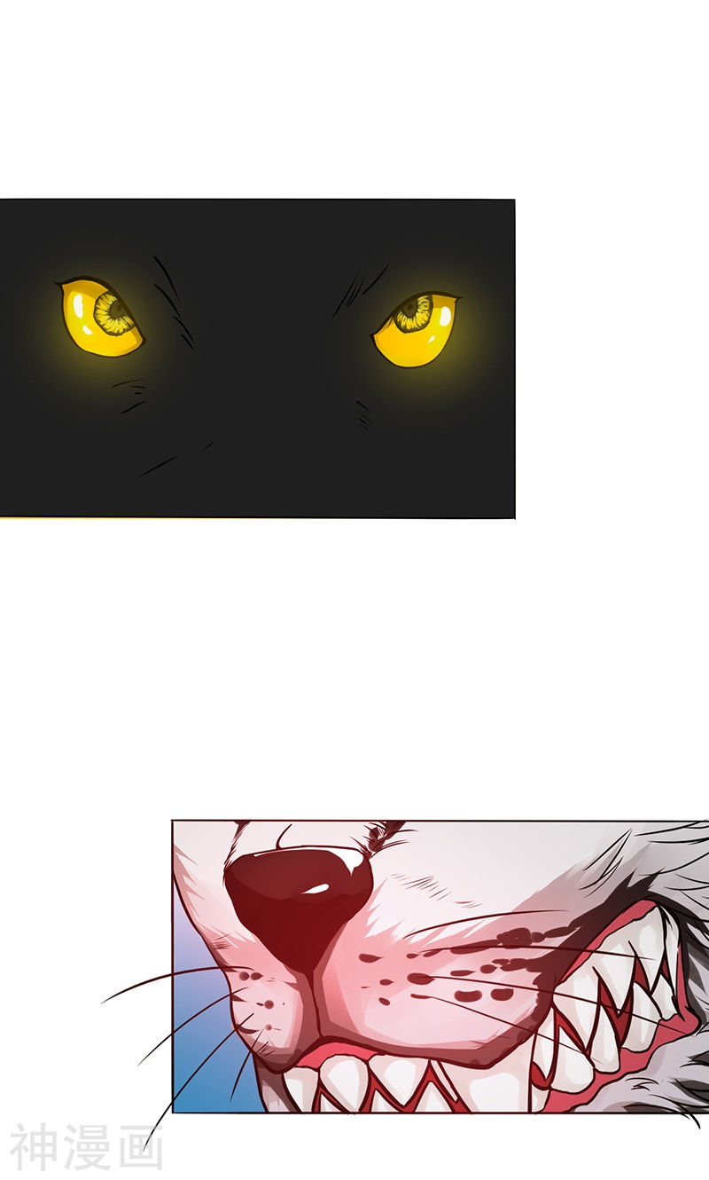 地府我开的第177话 还有另外三只53P