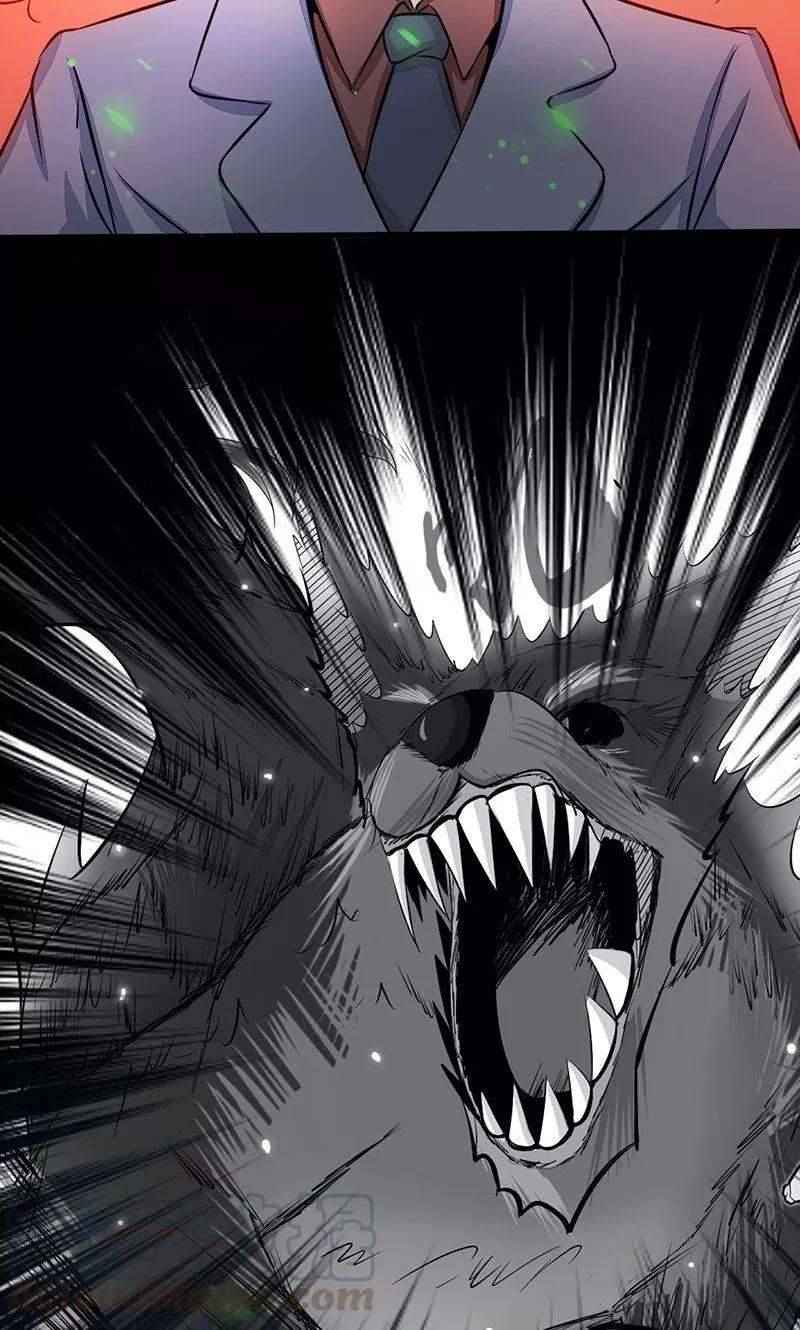 地府我开的70话 缘由