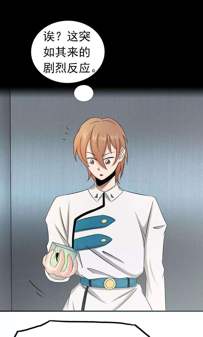 地府我开的95话 曼陀罗之阵