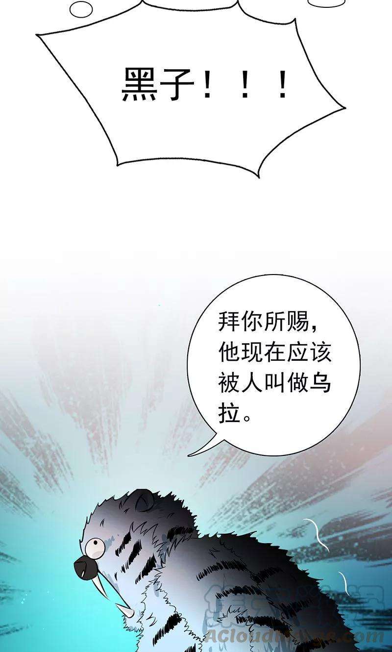 地府我开的126话 暗杀星！