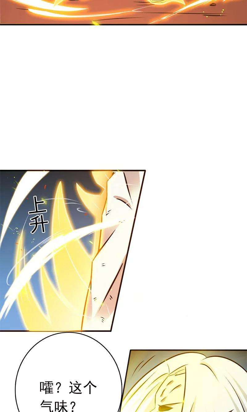 地府我开的157话 愚蠢但值得尊敬