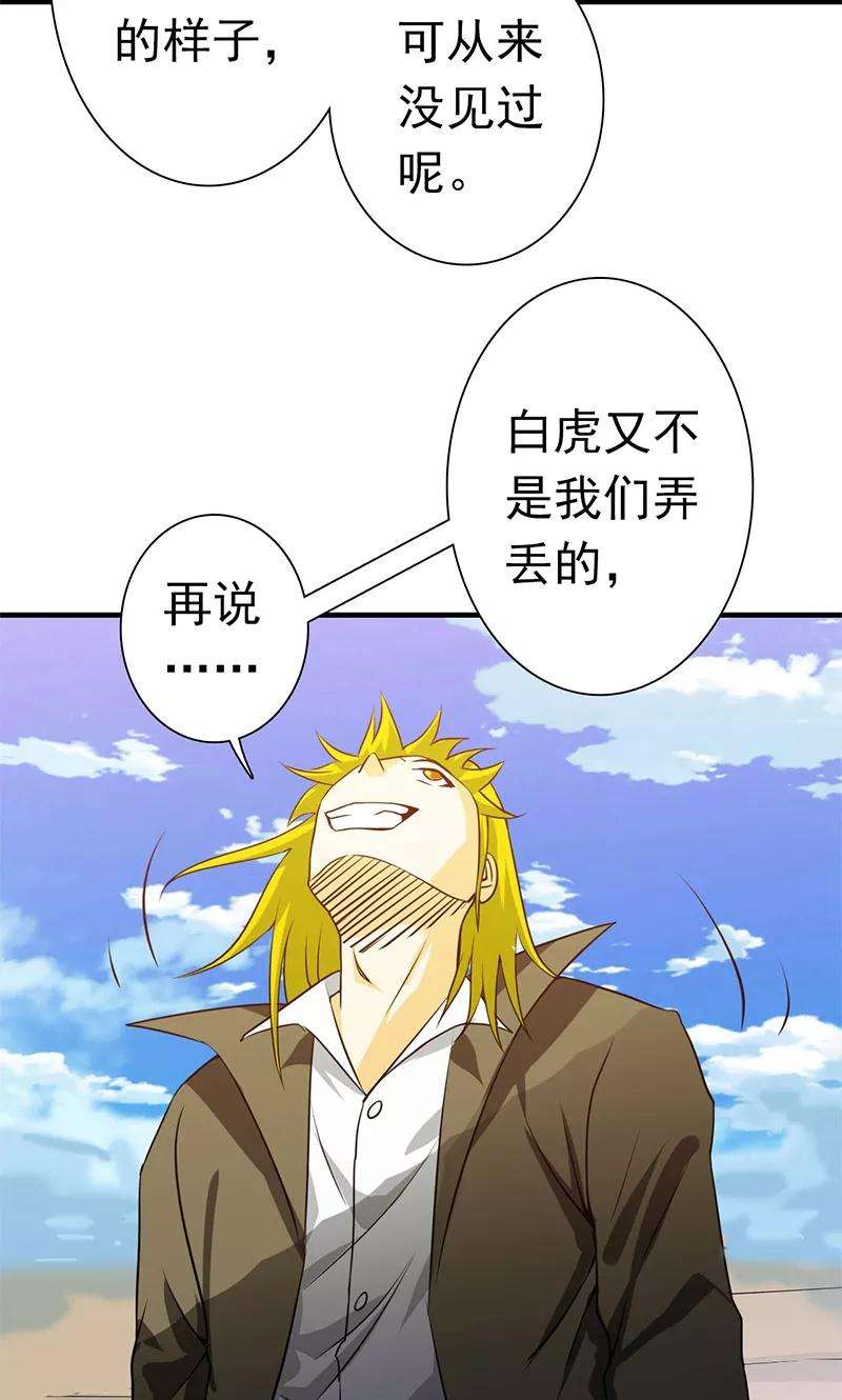 地府我开的182话 反击的前夕