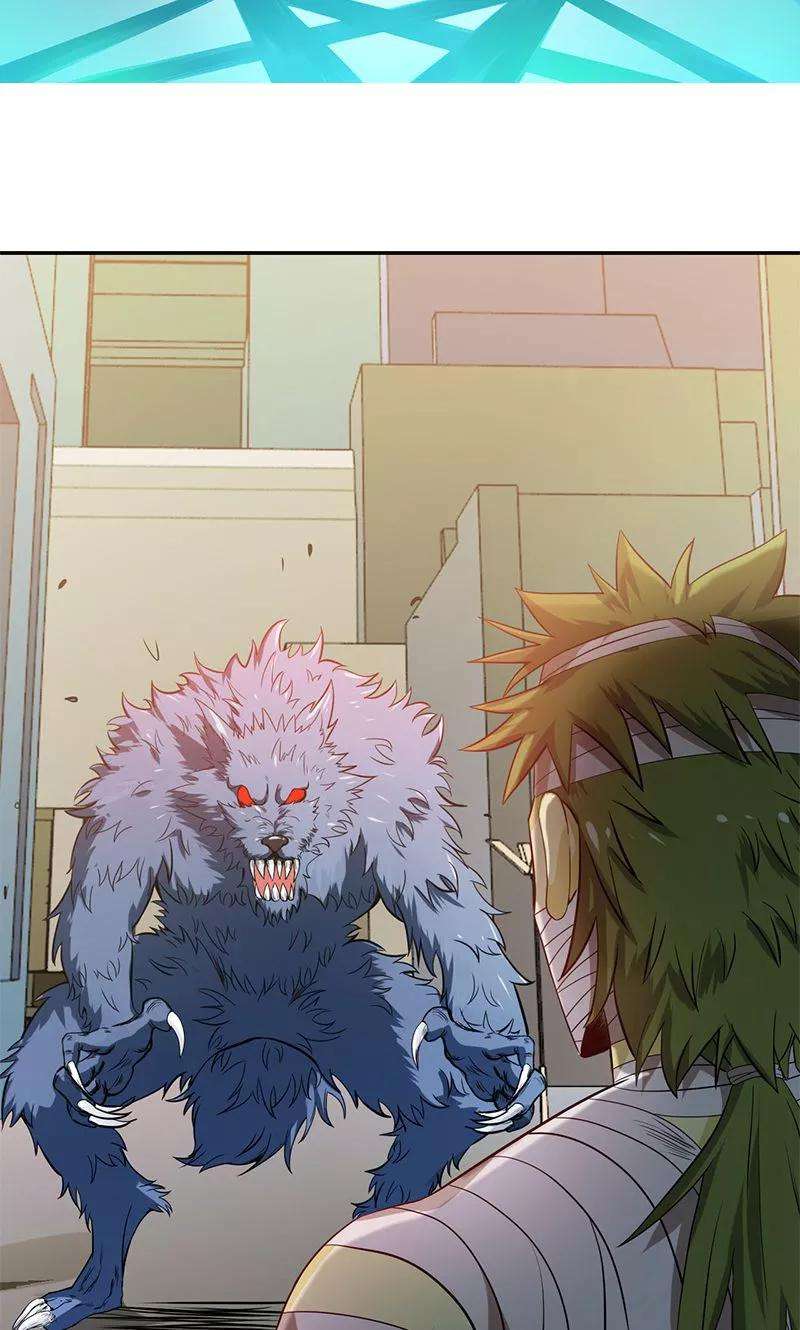 地府我开的211话 风林火山