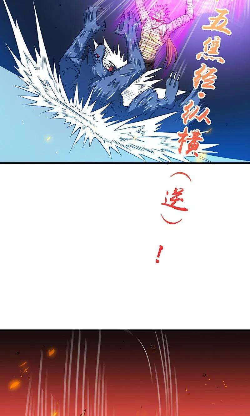 地府我开的211话 风林火山