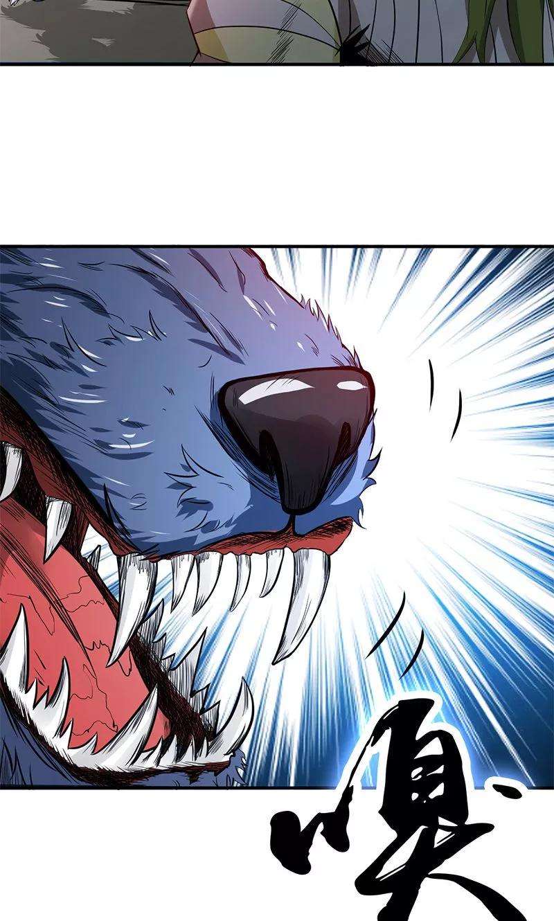 地府我开的211话 风林火山