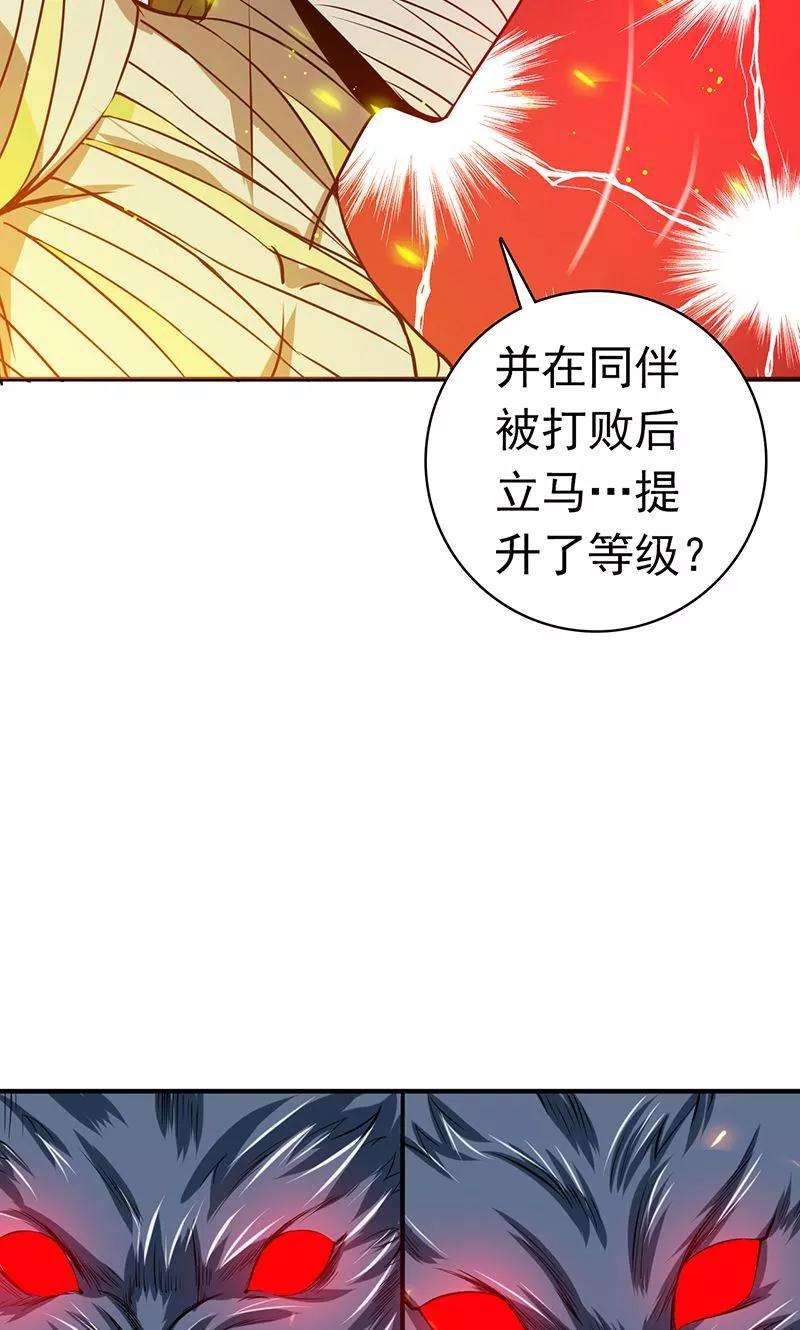 地府我开的211话 风林火山