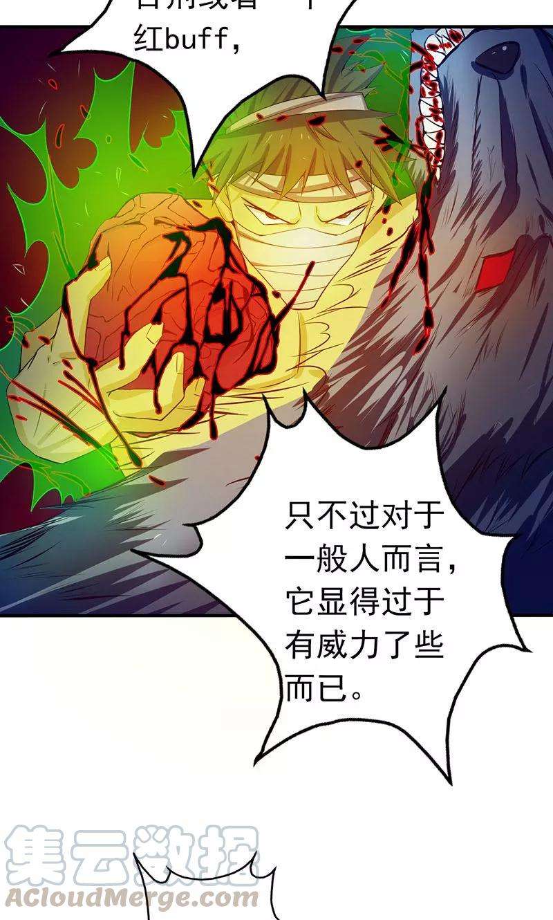 地府我开的211话 风林火山
