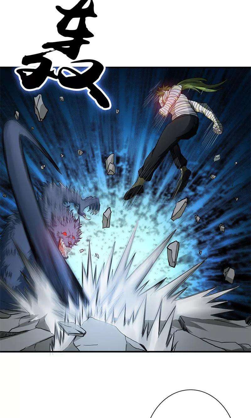 地府我开的211话 风林火山