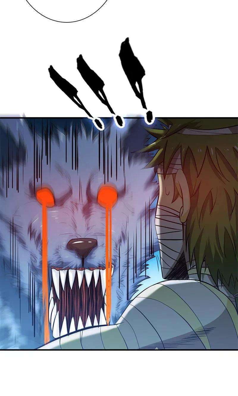 地府我开的211话 风林火山