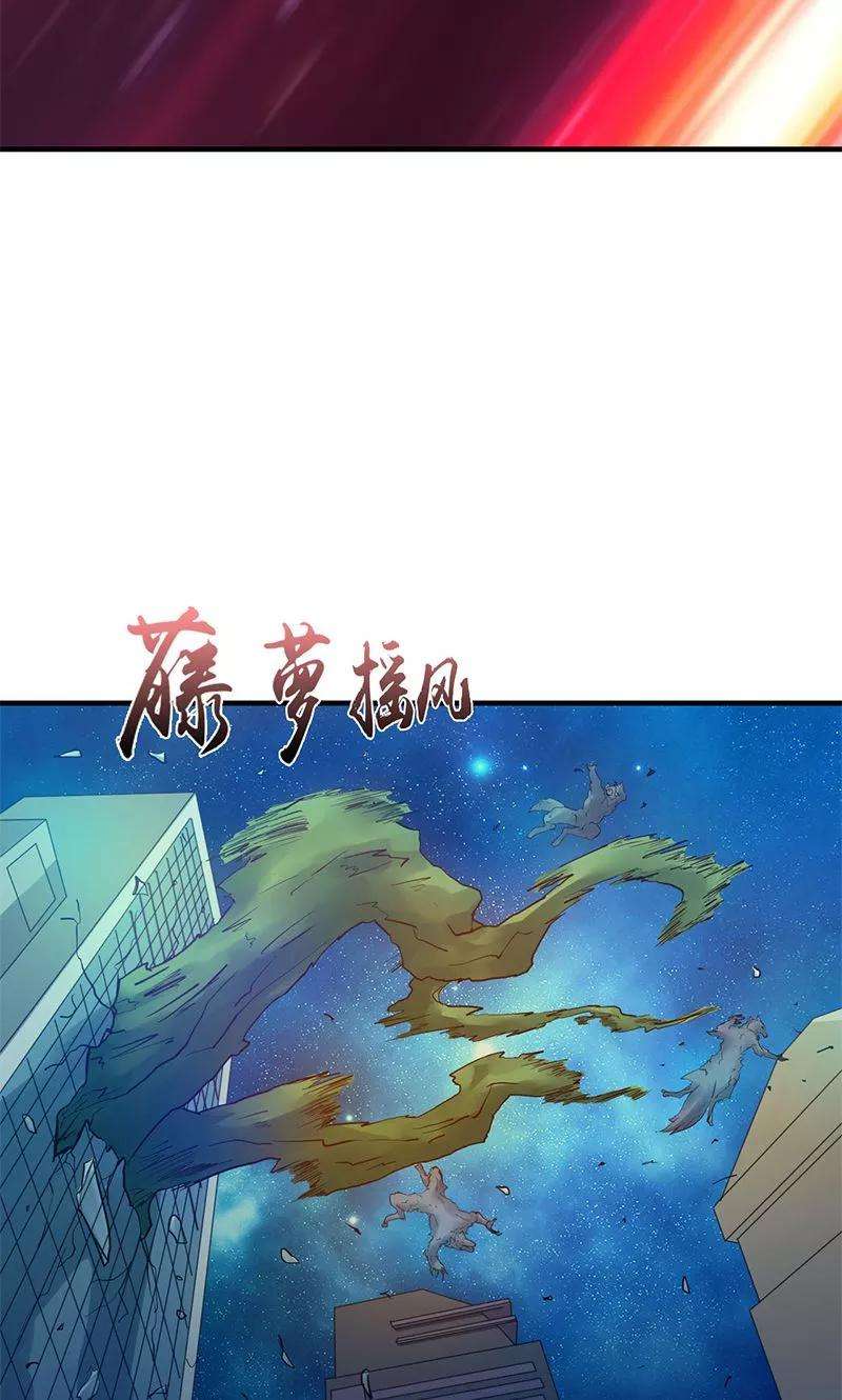 地府我开的213话 绝佳的帮手