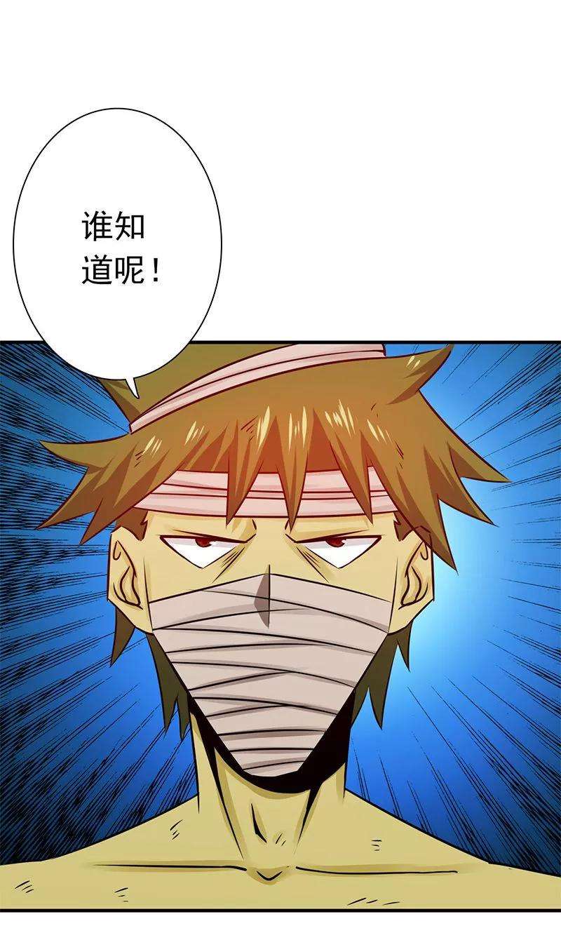 地府我开的213话 绝佳的帮手