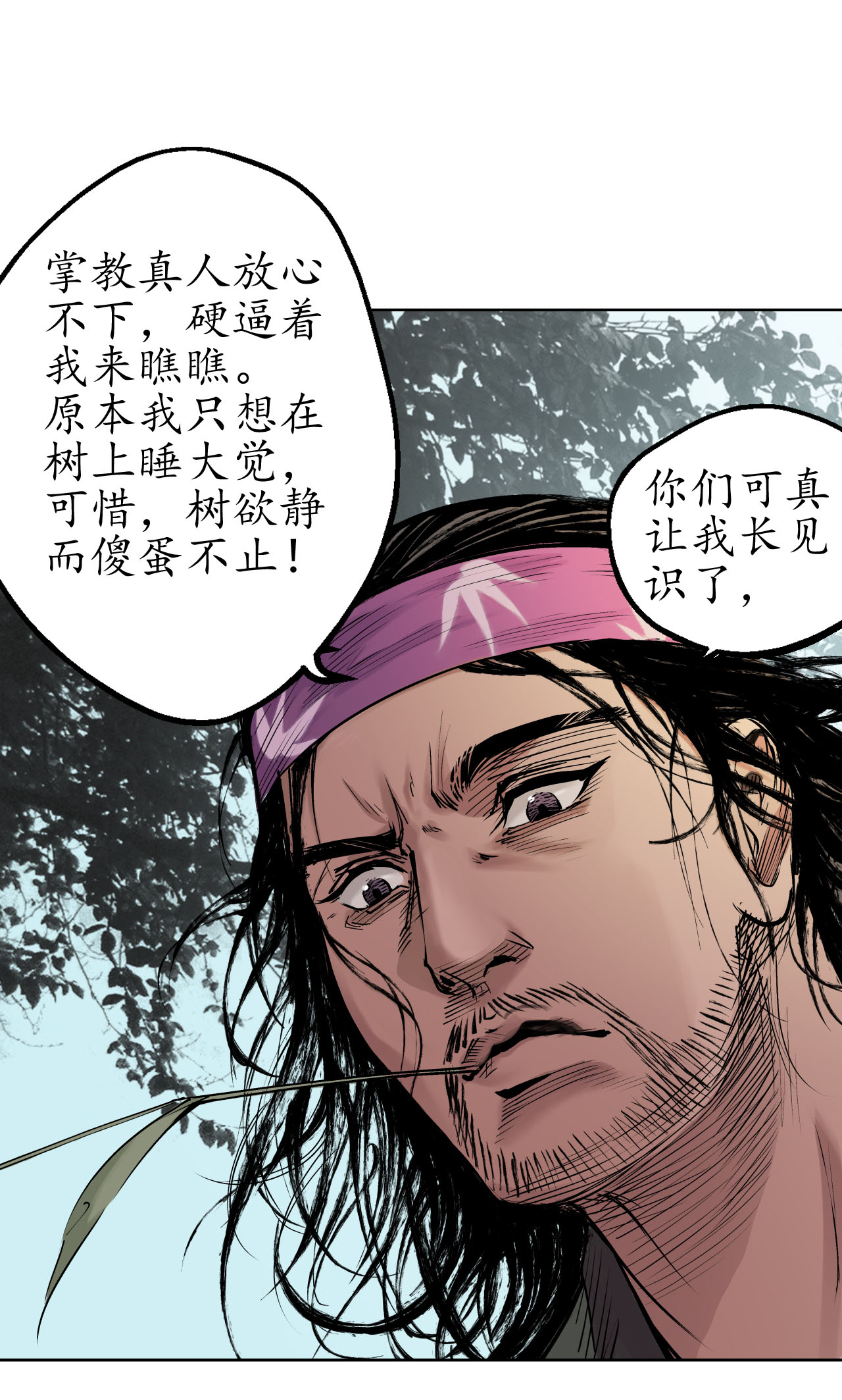藏锋行36话 策马狂歌