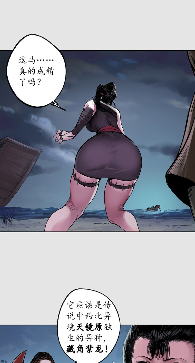 藏锋行泅水引敌