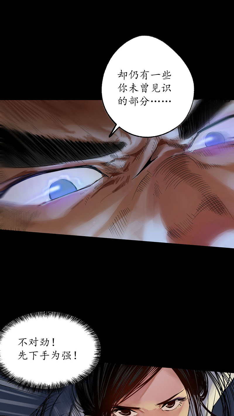 藏锋行金甲禁绝