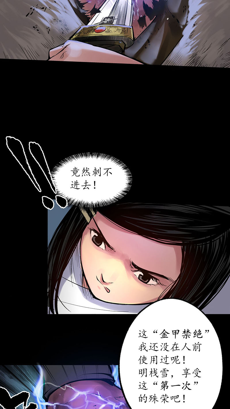 藏锋行金甲禁绝