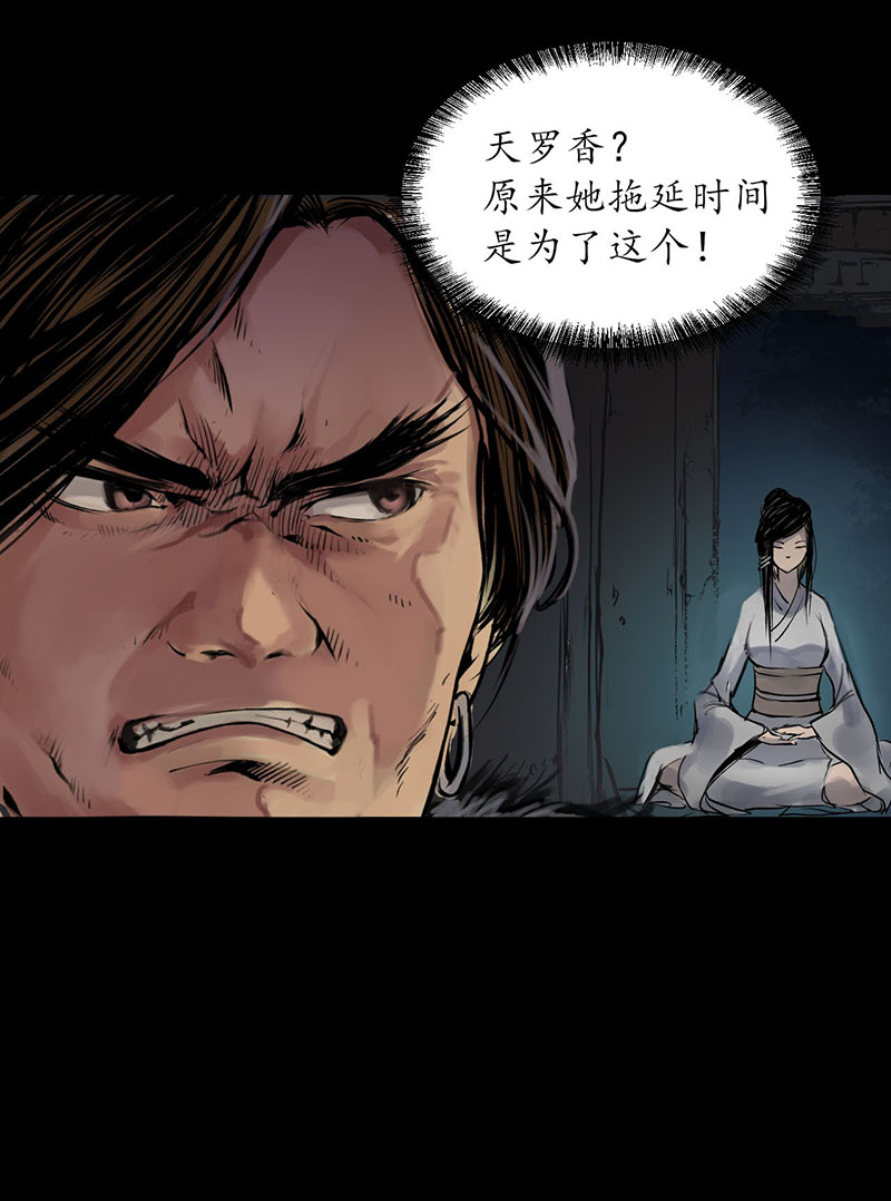 藏锋行金甲禁绝
